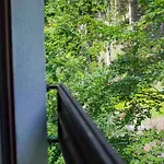 Forest Dream - Elit