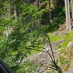 Apartment Forest Dream - Elit *