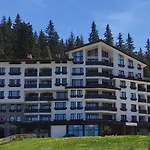 Forest Dream - Elit Apartment