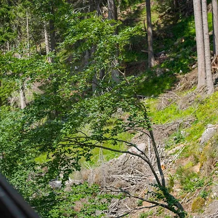 Appartement Forest Dream - Elit *