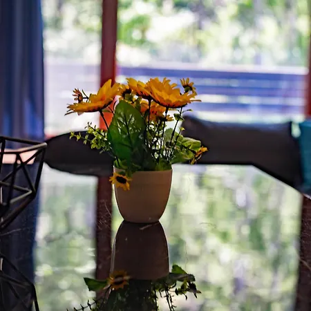 Forest Dream - Elit Apartment