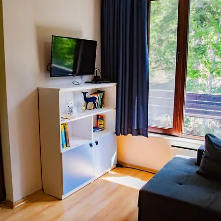 Forest Dream - Elit *