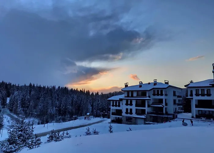 Forest Dream - Elit Apartment *