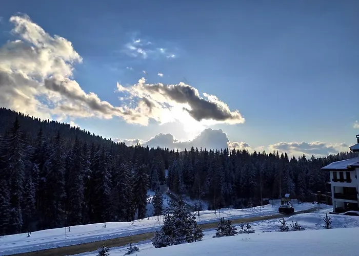 Forest Dream - Elit Apartment