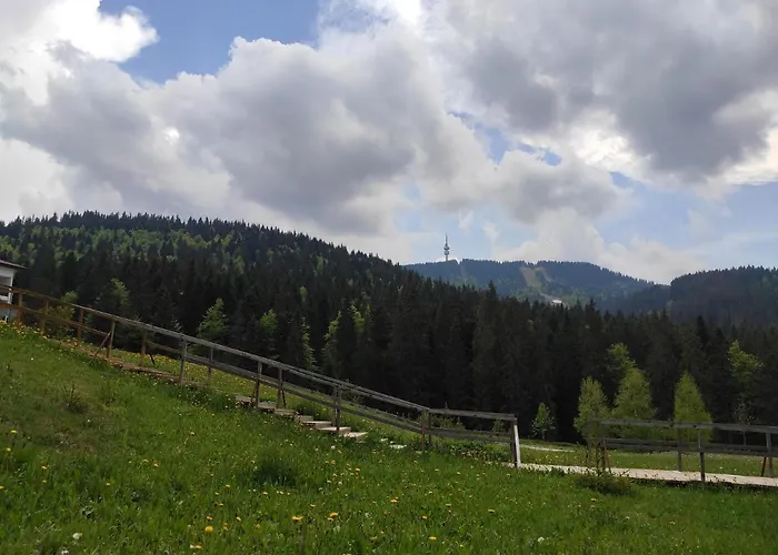 Forest Dream - Elit Apartment *