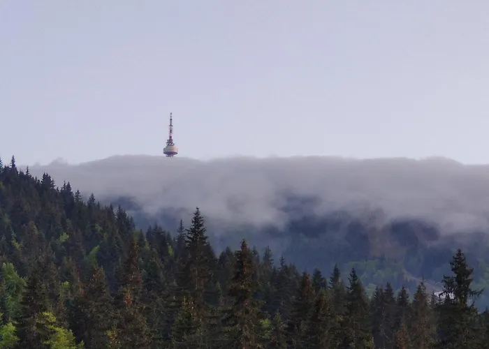 アパート Forest Dream - Elit