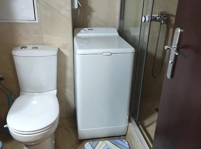 Forest Dream - Elit * パンポロボ