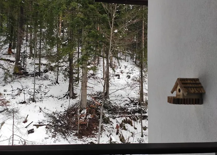 Apartment Forest Dream - Elit *