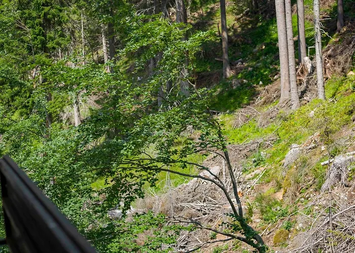 Apartment Forest Dream - Elit *