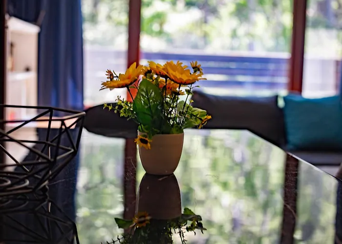 Forest Dream - Elit Apartment