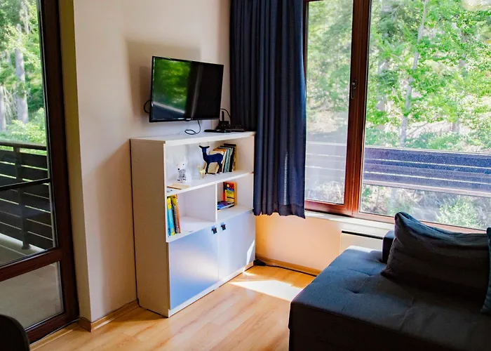 Forest Dream - Elit *